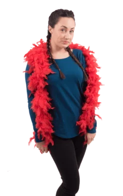 Bristol Novelty Red Feather Boa
