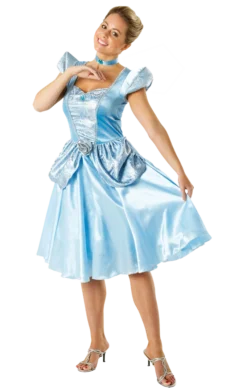 Rubies Adult Disney Cinderella Costume All Womens Costumes