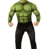 Rubies Mens Incredible Hulk Costume All Mens Costumes