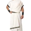 California Costumes Men's Deluxe Classic Toga