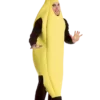 Rasta Imposta Adult Novelty Banana Costume All Mens Costumes