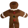 Generic Gingerbread Man