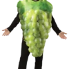 Rasta Imposta All Mens Costumes Get Real Grapes Green