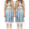 Orion Costumes Womens The Shining Twin Costume All Womens Costumes