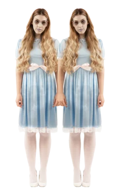 Orion Costumes Womens The Shining Twin Costume All Womens Costumes