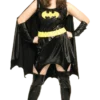 Rubies Batgirl Sexy Super Hero Costume (Plus Size)