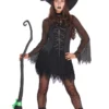 Orion Costumes Sorceress Of Darkness Costume