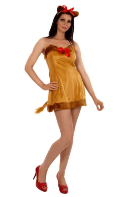 RG Costumes & Accessories Lion