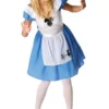 Rubies All Womens Costumes Adult Disney Alice In Wonderland Costume