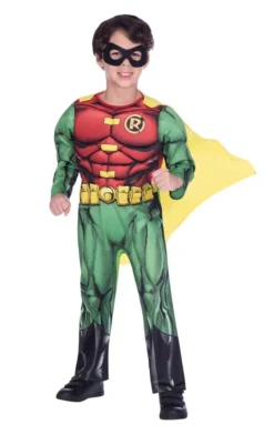 Generic Childrens Classic Robin Costume
