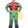 Generic Childrens Classic Robin Costume