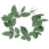 Bristol Novelty Roman Laurel Wreath Greek And Roman