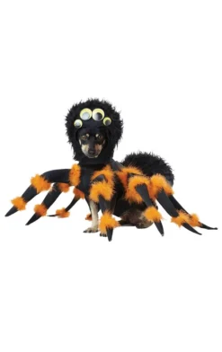 California Costumes Spider Dog Costume